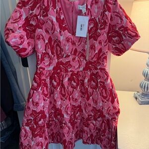 She + Sky Pink and Red Floral Mini Dress